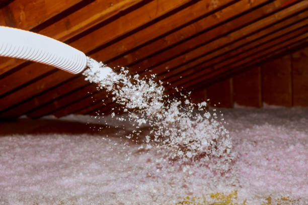 Best Insulation Replacement Services  in Lake Wylie, SC