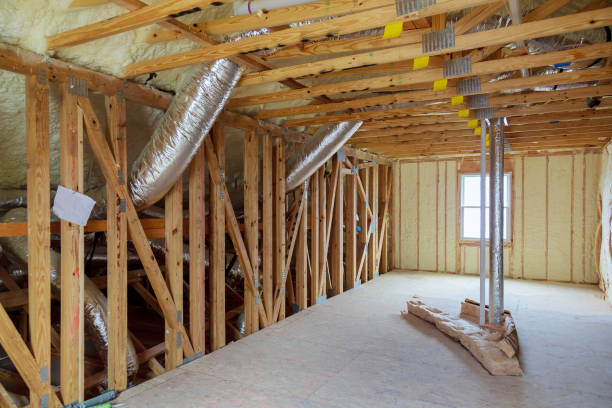 Best Wall Insulation Contractor  in Lake Wylie, SC