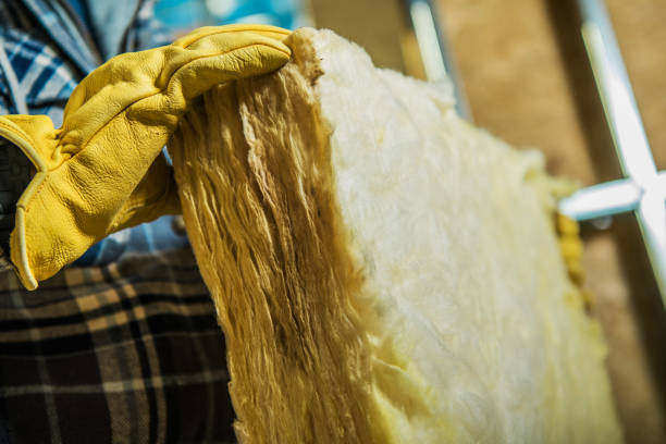 Best Attic Insulation Installation  in Lake Wylie, SC