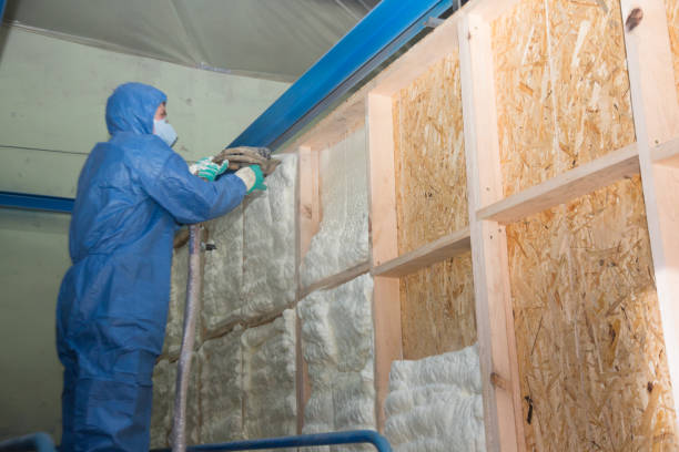 Best Home Insulation Services  in Lake Wylie, SC