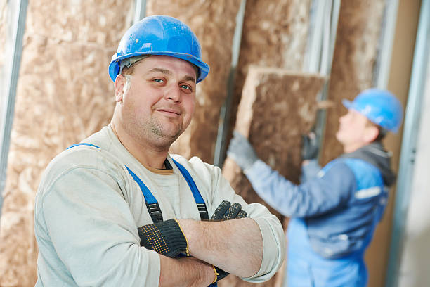 Best Insulation Inspection Services  in Lake Wylie, SC