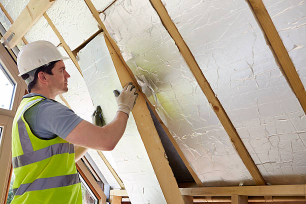 Best Best Insulation Companies  in Lake Wylie, SC